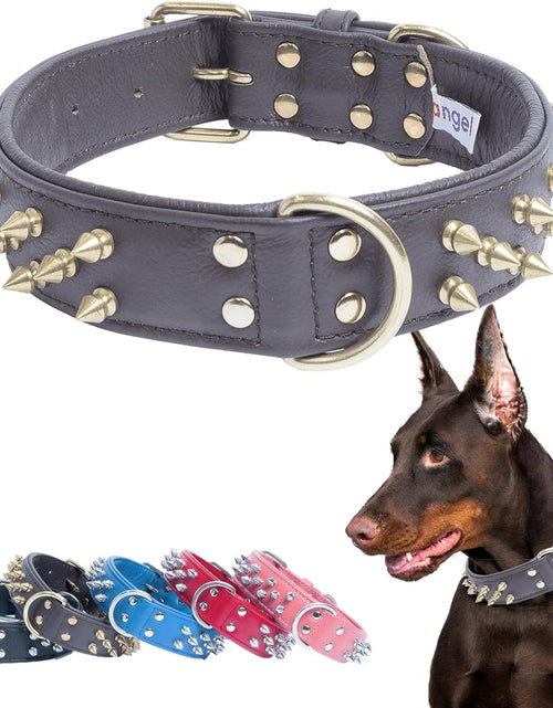 Load image into Gallery viewer, Genuine Leather Spiked Dog Collar | Multi- Line Metal Spikes | Soft and Strong Padded Leather | Stainless Steel | 2 Dee Rings | Multiple Sizes | Amsterdam Spiked Collection by
